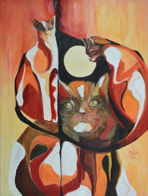 Cats